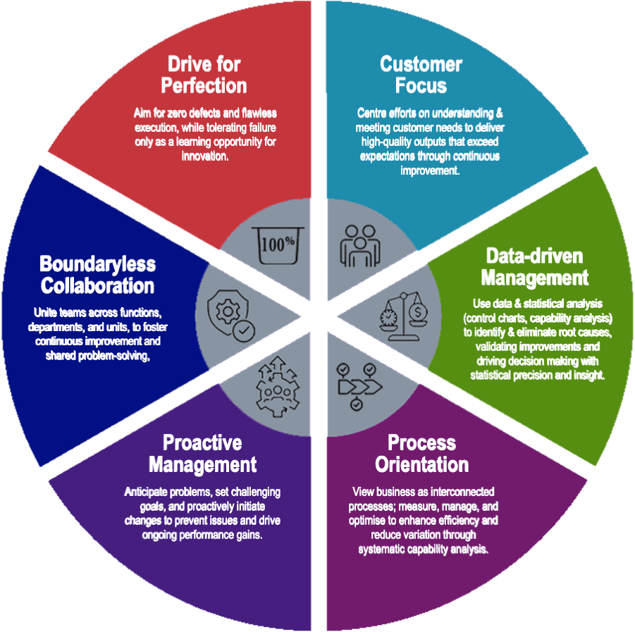 Six Principles of SIX SIGMA